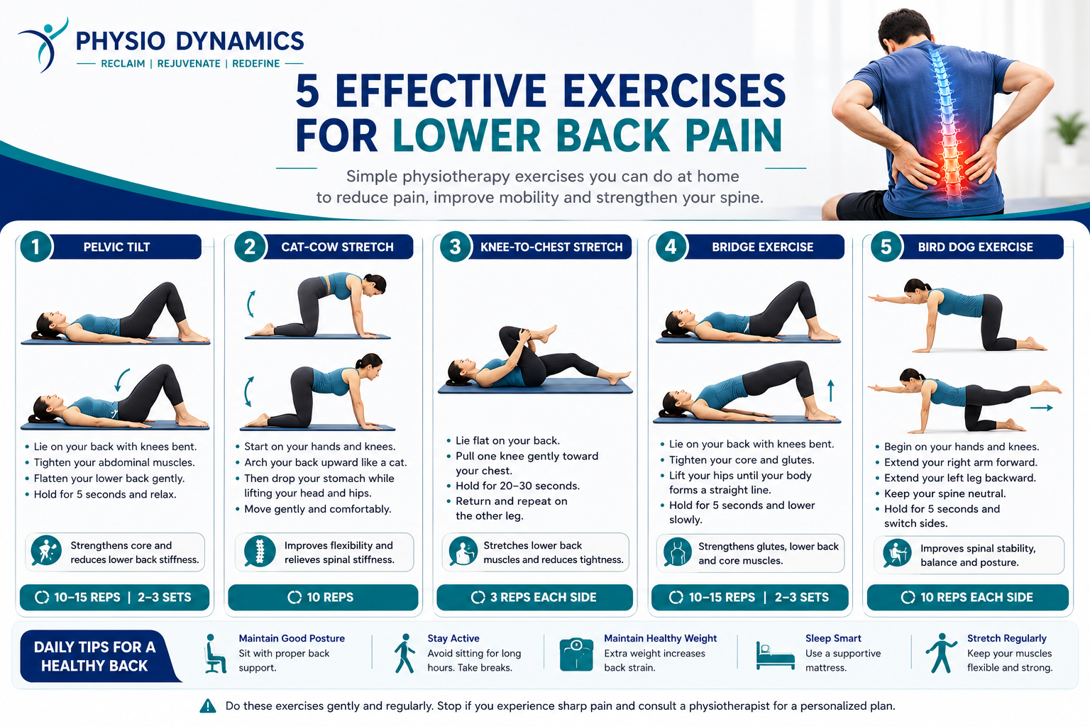 5 Effective Exercises for Lower Back Pain - Physio Dynamics Wayanad infographic